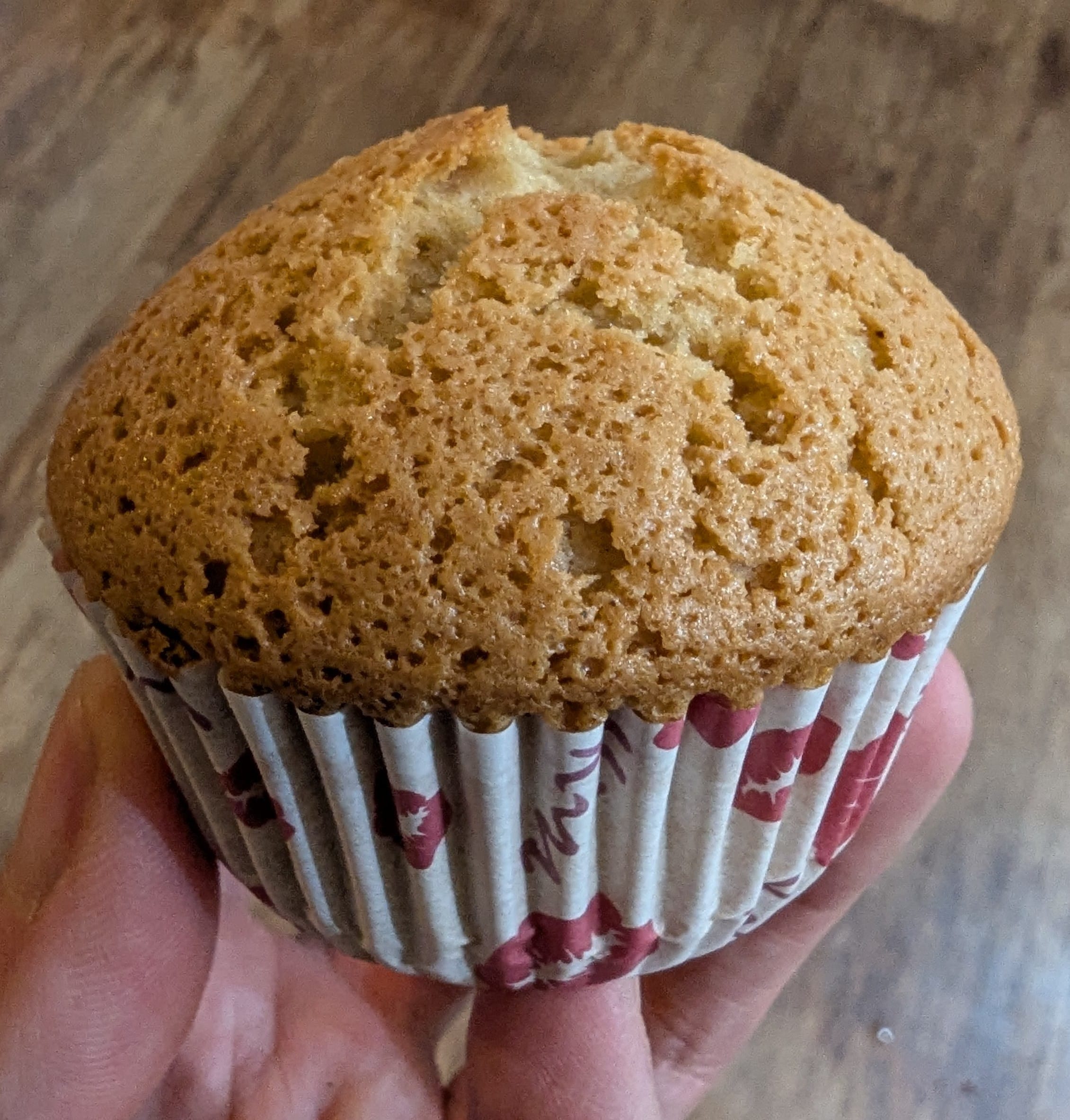 A beautifully risen cupcake fresh from the oven — kitchen science for families from Dinky Bakers. Why do cakes rise?