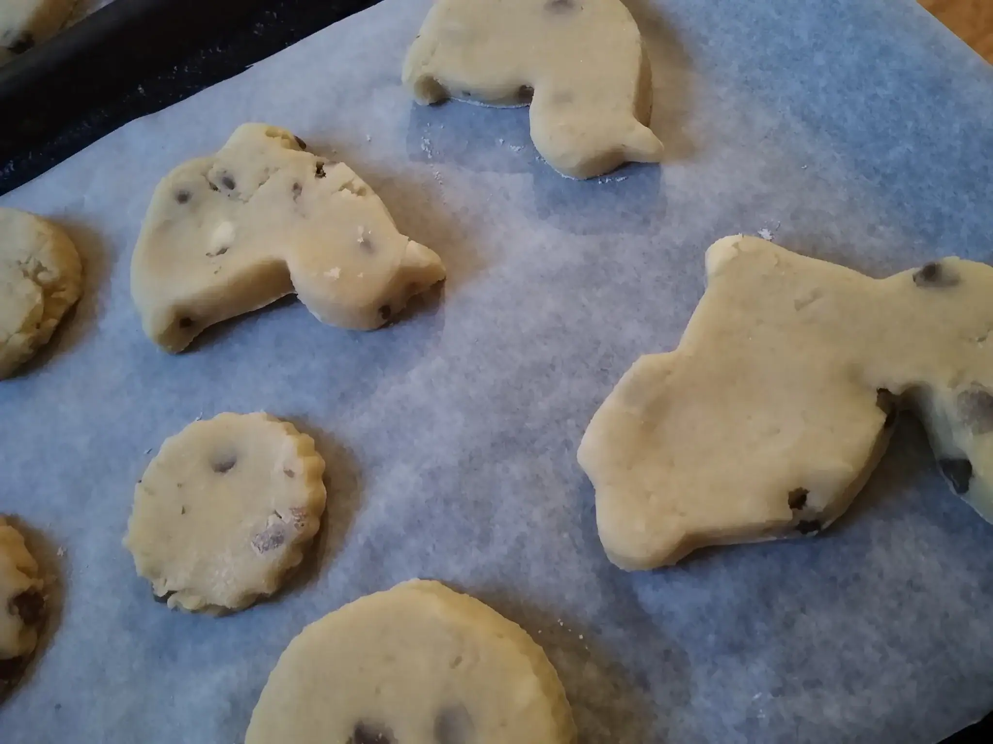 A tray of different flavoured homemade shortbread biscuits ready to be baked for a taste test