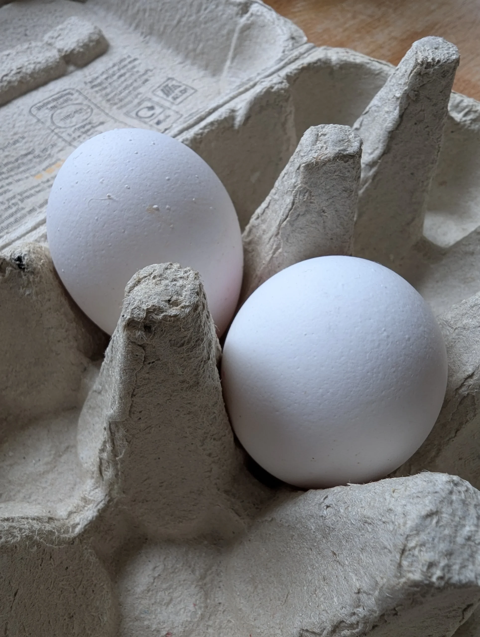 Two white chicken eggs.  How to Teach Your Child to Crack an Egg: Three Simple Steps