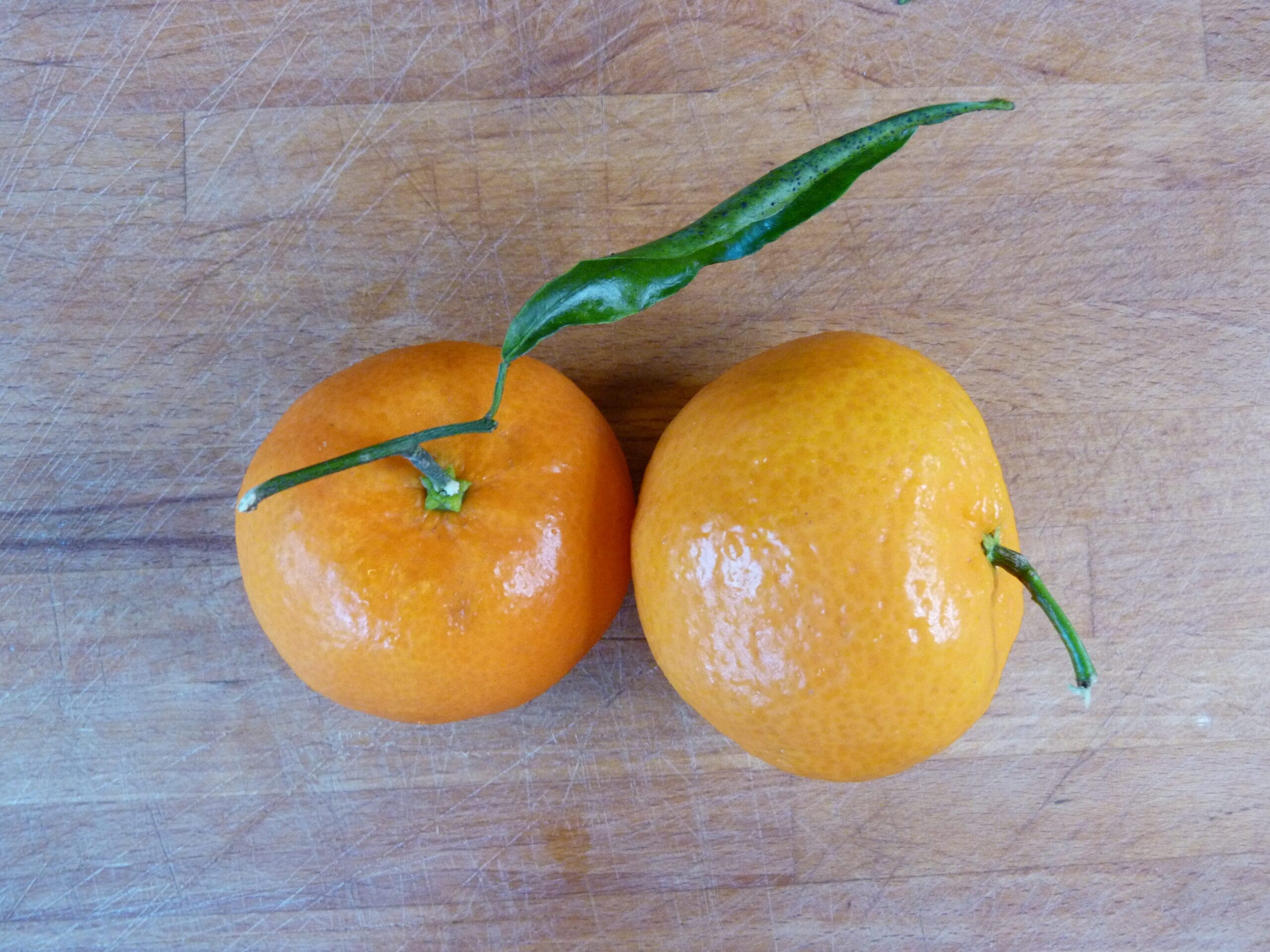 Two oranges ready to be peeled.  Fine Motor Skills in Children.